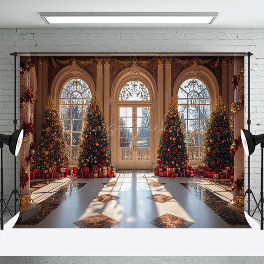 Lofaris Luxury Palace Window Christmas Vibe Photo Backdrop