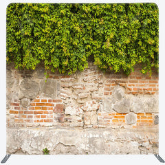 Lofaris Old Wall Green Vegetation Square Tension Backdrop