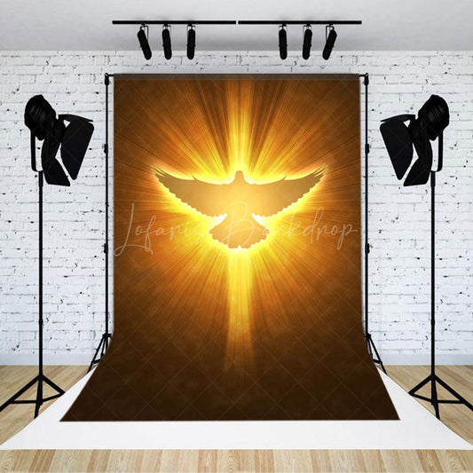 Lofaris Pigeon In Light Heaven Scene Photography Backdrop