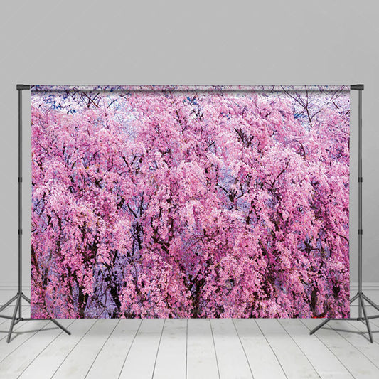 Lofaris Pink Sakura Forest Dense Blossoms Soft Warm Backdrop