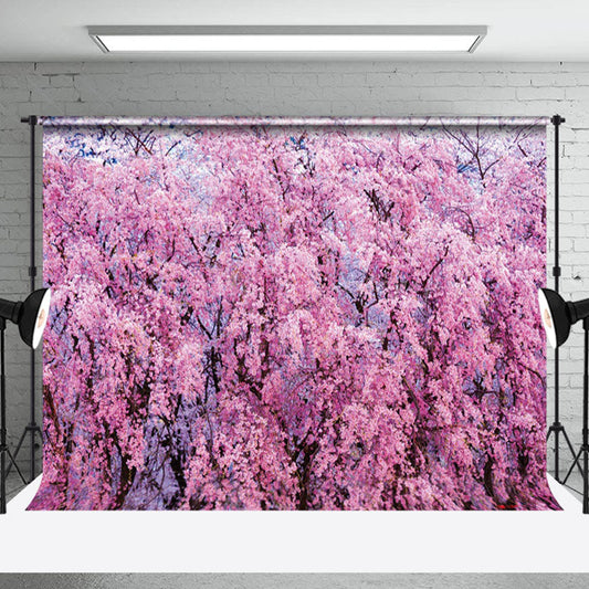 Lofaris Pink Sakura Forest Dense Blossoms Soft Warm Backdrop