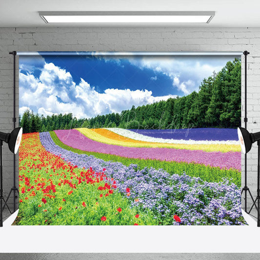 Lofaris Rainbow Flower Field Blue Sky Spring Photo Backdrop