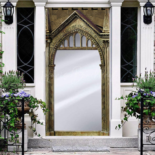 Lofaris Retro Magical Erised Mirror Birthday Door Cover