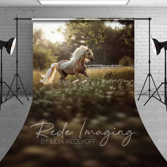 Lofaris Summer Sunlight Grassland Sunny Pony Sweep Backdrop