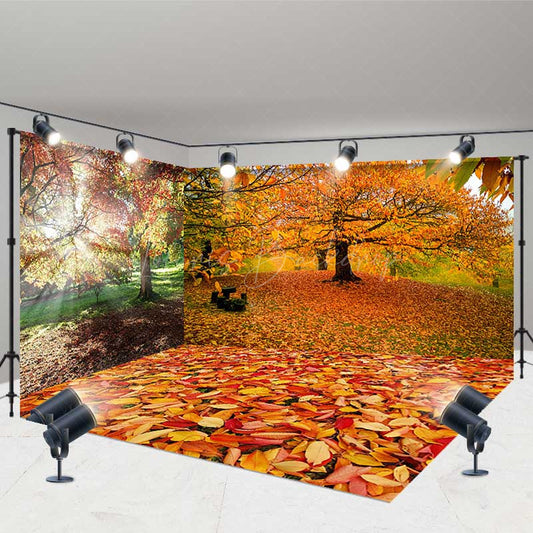 Lofaris Sunlight Maple Forest Autumn Photo Room Set Backdrop