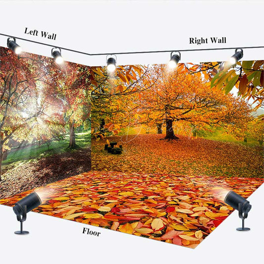 Lofaris Sunlight Maple Forest Autumn Photo Room Set Backdrop