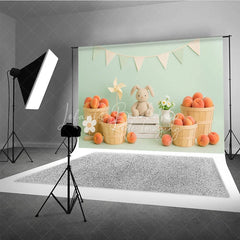Lofaris Sweet Peach Harvest and Plush Bunny Photo Backdrop Birthday Cake Smash Photography Background