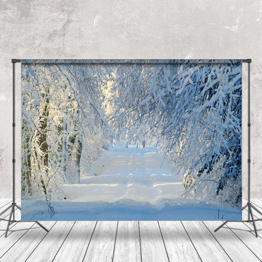 Lofaris Tranquil Winter Forest Pathway With Sunbeam Backdrop