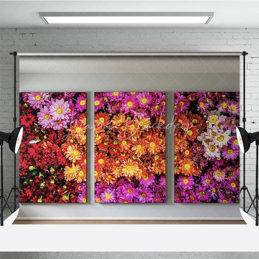 Lofaris Vibrant Multi-Color Floral Photography Backdrop featuring Red Orange Pink and Purple Daisy Flowers