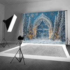 Lofaris White Silver Arch Lights Christmas Backdrop Blue Winter Wonderland Snowflake Photography Background