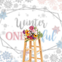 Lofaris Winter One Derland Pink Blue Gender Reveal Backdrop