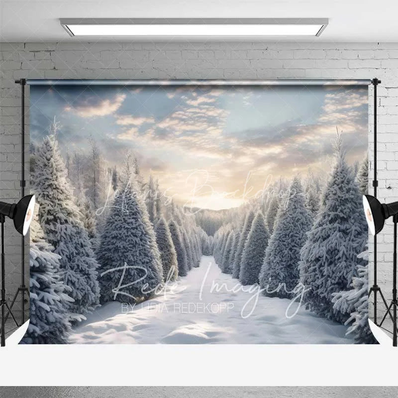 Lofaris Winter Wonderland Backdrop Snowy Pine Forest Path Sunset Sky Nature Photo Background