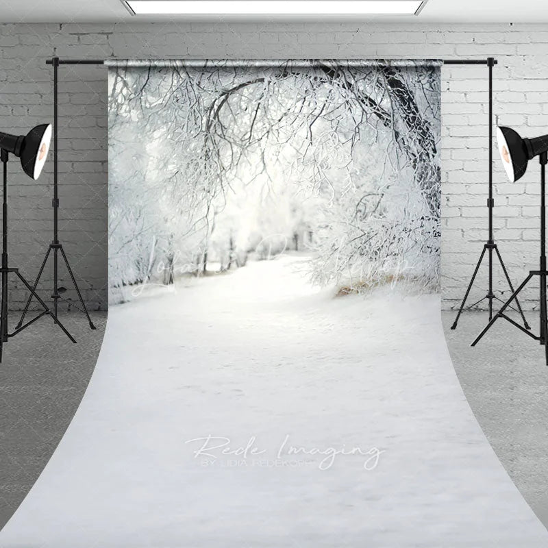 Lofaris Winter Wonderland Snowy Forest Backdrop White Frost Trees Snow Path Nature Christmas Photography Background