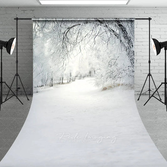 Lofaris Winter Wonderland Snowy Forest Backdrop White Frost Trees Snow Path Nature Christmas Photography Background