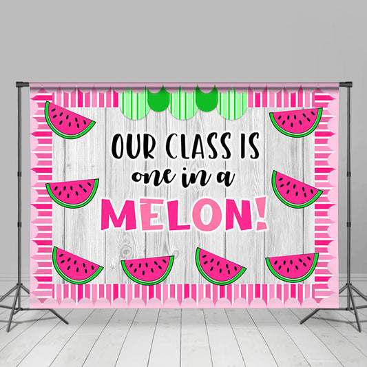 Lofaris Our Class Is One In A Melon Pink Summer Backdrop