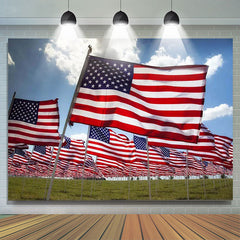 Lofaris Patriotic Outdoor USA Flag Independence Day Backdrop