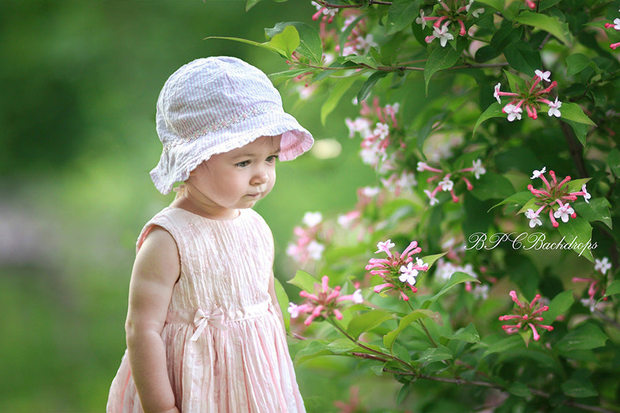 Lofaris Pink Flower Blooming Tree Spring Portrait Backdrop