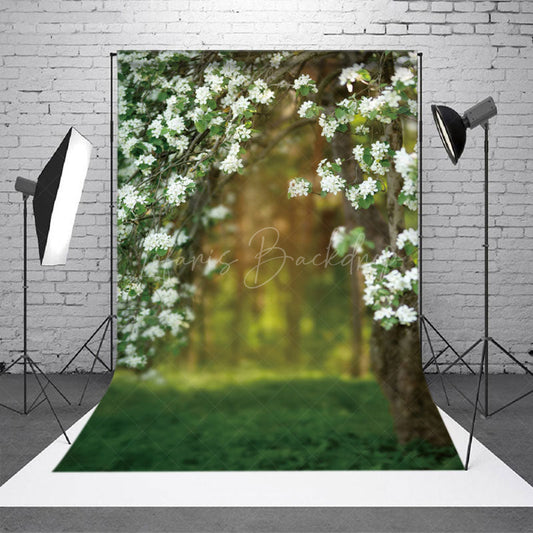 Lofaris Pure Flowers Tree Bokeh Spring Photography Backdrop
