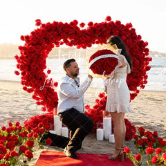 Lofaris Heart Shape Rose Flower Fabric Curtain Wall for Wedding Proposal