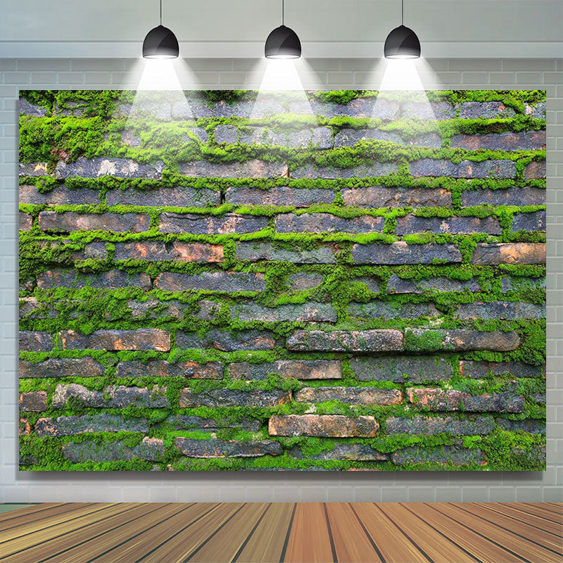 Rural Green Mossy Brick Wall Photoshoot Backdrop - Lofaris