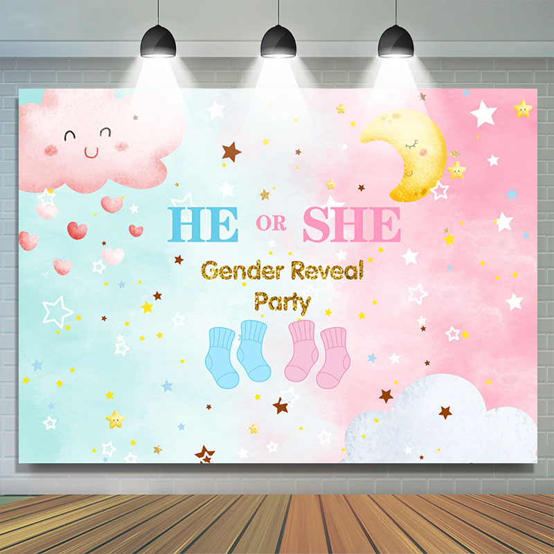 Lofaris Star Moon Baby Shower Gender Reveal Party Backdrop