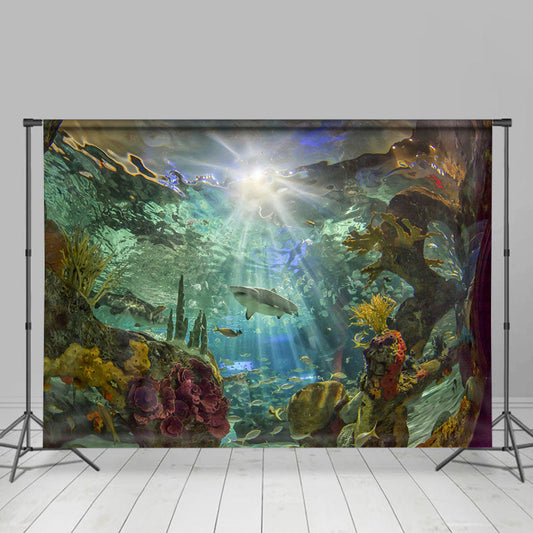 Lofaris Sunshine Aquarium Beautiful Shark Summer Backdrop