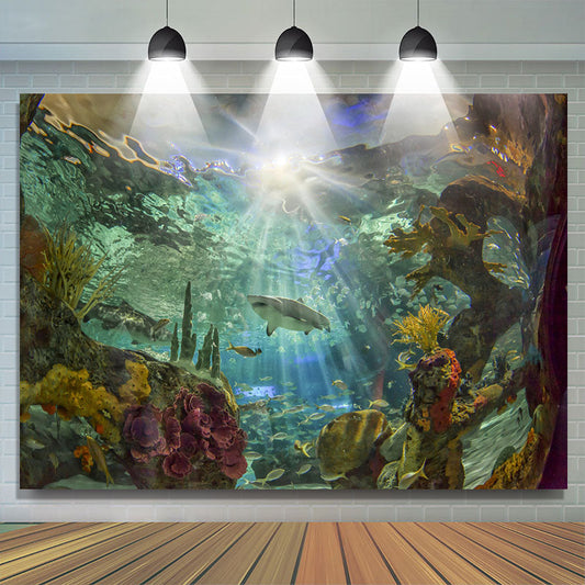 Lofaris Sunshine Aquarium Beautiful Shark Summer Backdrop
