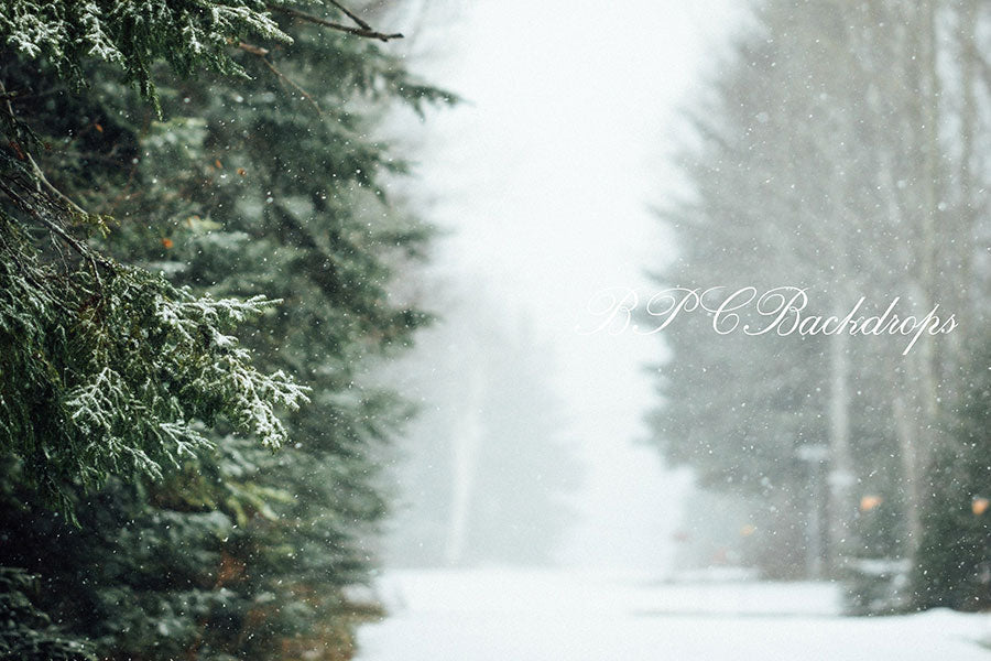 Lofaris Winter Snowy forest Santa Mailbox Photography backdrop