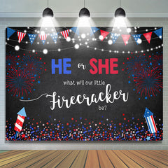 Lofaris 4Th of July Stars and Fireworks Baby Shower Backdrop