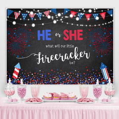 Lofaris 4Th of July Stars and Fireworks Baby Shower Backdrop