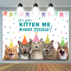 Lofaris Are You Kitten Me Right Meow Cats Birthday Backdrop