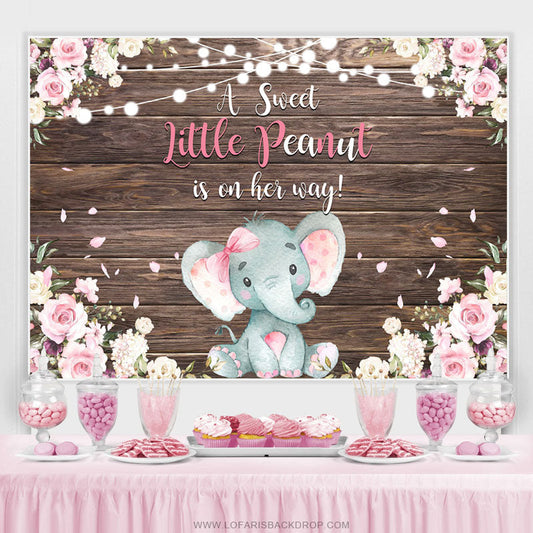 Lofaris A Sweet Little Peanut Is On Her Way Baby Shower Backdrop