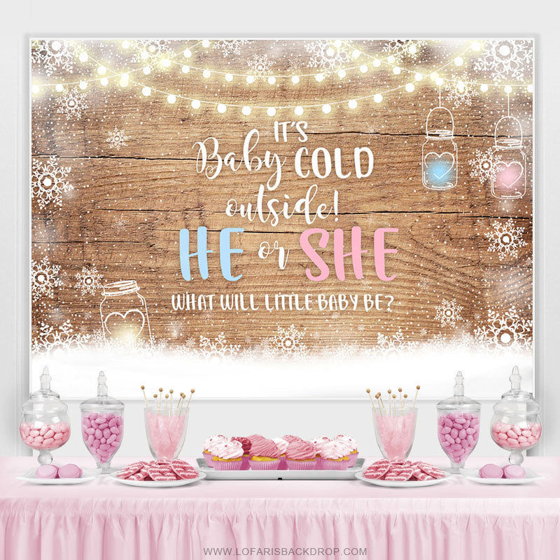 Lofaris Baby Its Cold Outside Gender Reveal Shower Backdrop