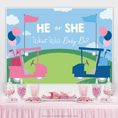 Lofaris Blue And Pink Bike He Or She Baby Shower Backdrops