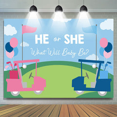 Lofaris Blue And Pink Bike He Or She Baby Shower Backdrops