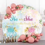 Load image into Gallery viewer, Lofaris Blue And Pink Pumpkin Light Round Baby Shower Backdrop