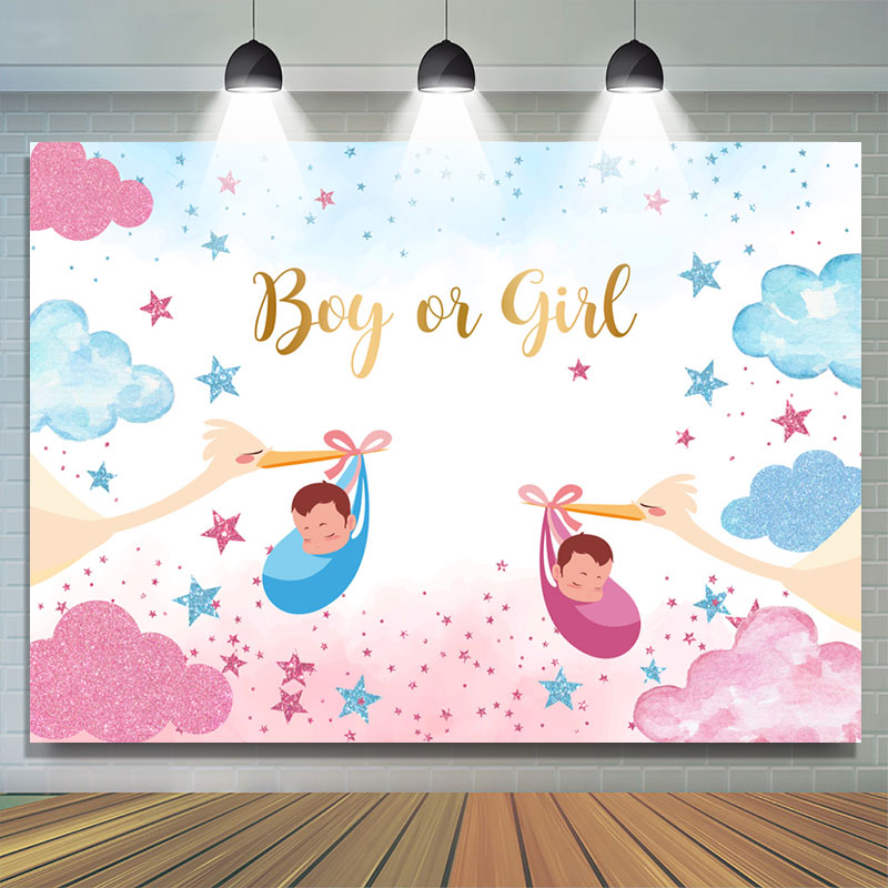 Lofaris Boy Or Girl Starry Cloud Crane Gender Reveal Backdrop