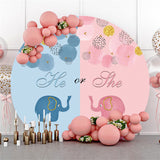 Load image into Gallery viewer, Lofaris Circle Pink Or Blue Little Elephant Baby Shower Backdrop