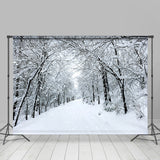 Load image into Gallery viewer, Lofaris Cold Snowy And Mysterious Highway White Winter Backdrop