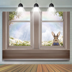 Lofaris Cute Rabbite In White Window Rainbow Easter Backdrop