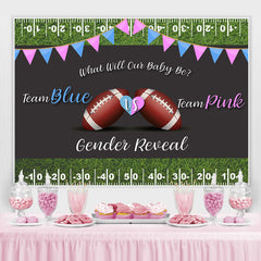 Lofaris Football Backdrop Baby Shower Pink and Blue Backdrops