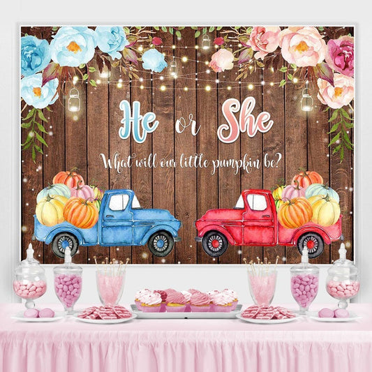 Lofaris He or She Car Board Photoshoot Backdrop for Baby Shower