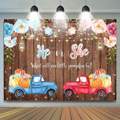 Lofaris He or She Car Board Photoshoot Backdrop for Baby Shower