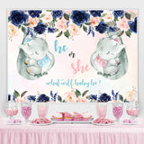 Load image into Gallery viewer, Lofaris He or She Pink and Blue Roses Baby Shower Backdrop