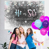 Load image into Gallery viewer, Lofaris He or She White Snow Ice-Themed Baby Shower Bakcground