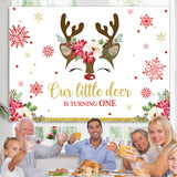 Load image into Gallery viewer, Lofaris Little Deer Is Turning One Snowflake Birthday Backdrop