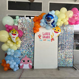 Load image into Gallery viewer, Lofaris Shimmer Wall Backdrop DIY Photo Booth Best For Birthday