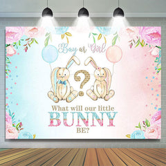 Lofaris Pink Or Blue Little Bunny Backdrop For Baby Shower