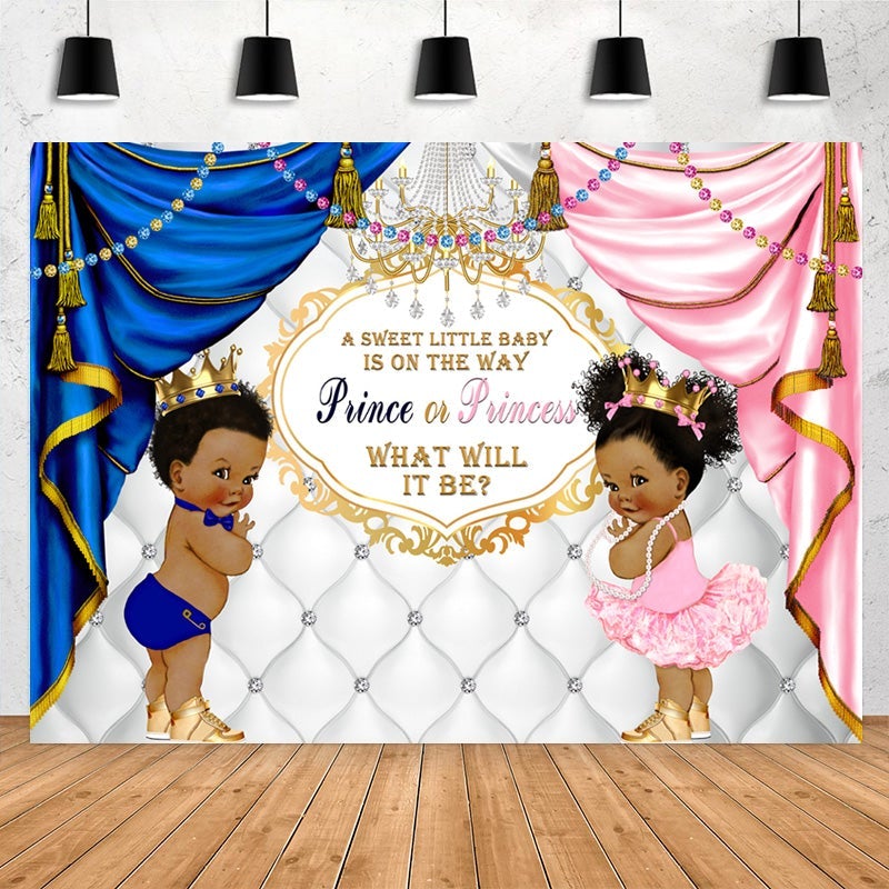 Lofaris Prince Or Princess What Will It Be Baby Shower Backdrop