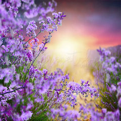 Lofaris Sunshine And Lavender Spring Theme Photo Backdrop For Portrait